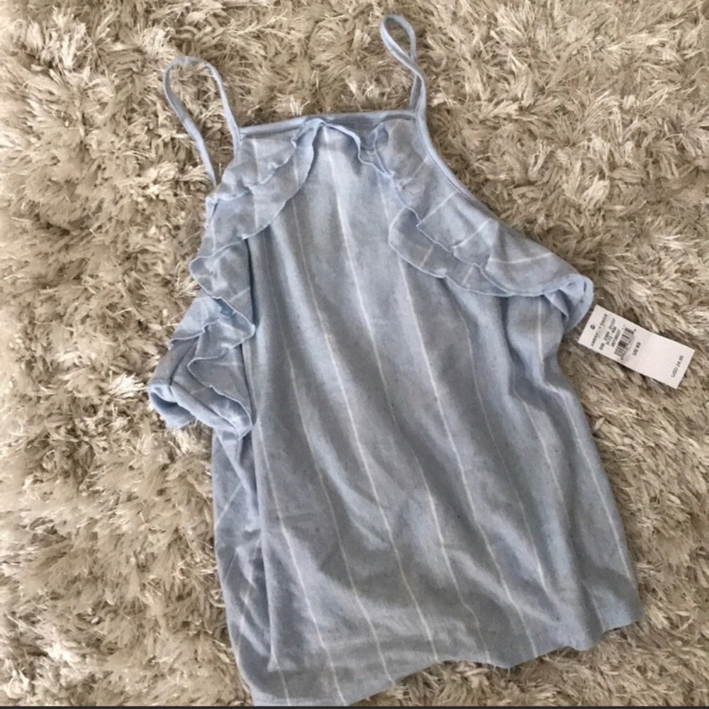 NWT American eagle baby blue striped tank top